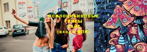 СК Абдулино