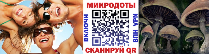 где купить наркоту  Сочи  Псилоцибиновые грибы Psilocybine cubensis 